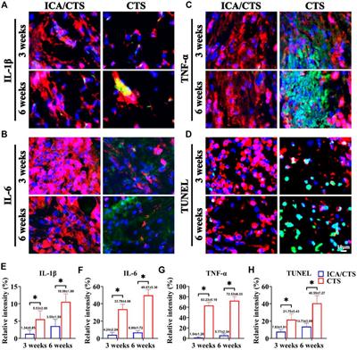 Icariin-loaded hydrogel with concurrent chondrogenesis and anti-inflammatory properties for promoting cartilage regeneration in a large animal model